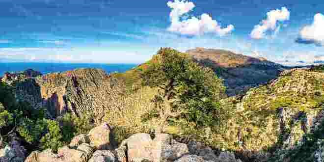Mallorca: Wandern & Genuss im Norden