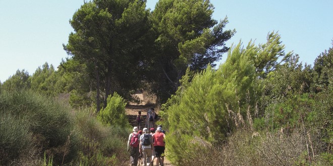 Cilento: Wandern