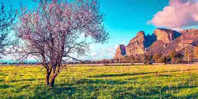 Sizilien: Impressionen zur Mandelblüte
